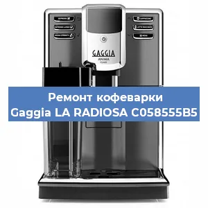 Чистка кофемашины Gaggia LA RADIOSA C058555B5 от накипи в Новосибирске
